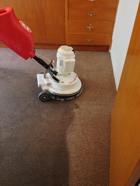 Industrial Carpet Cleaning
