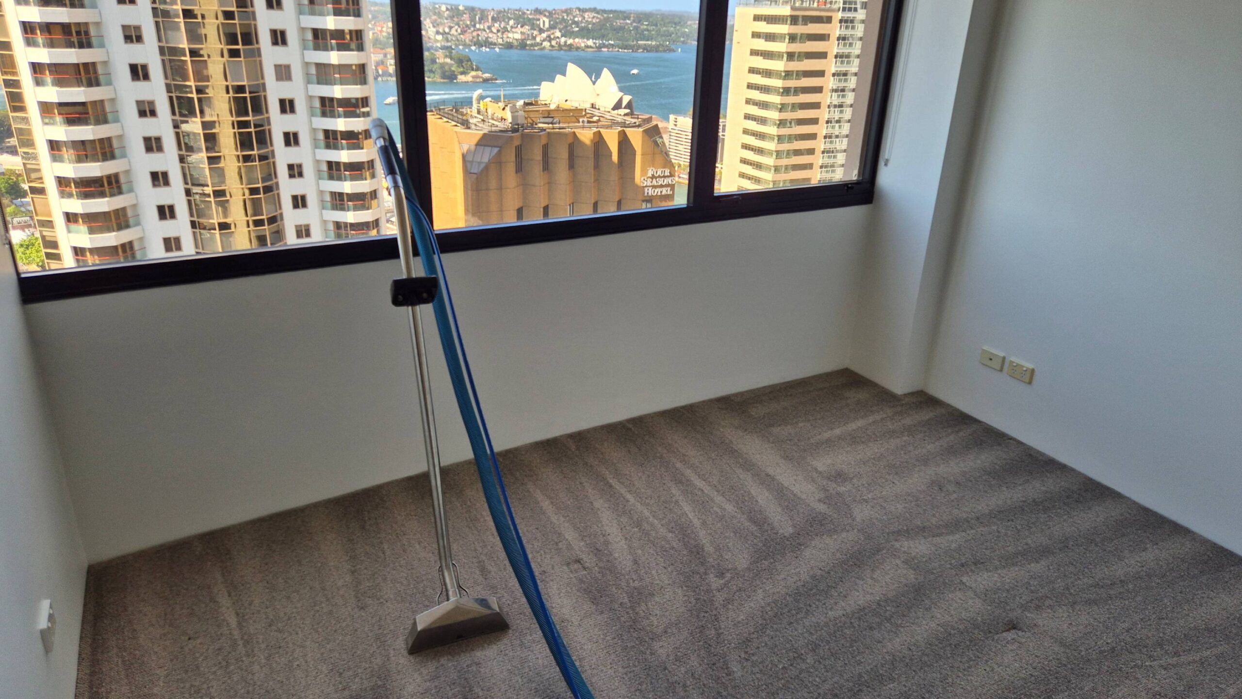 Carpet Steam Cleaning