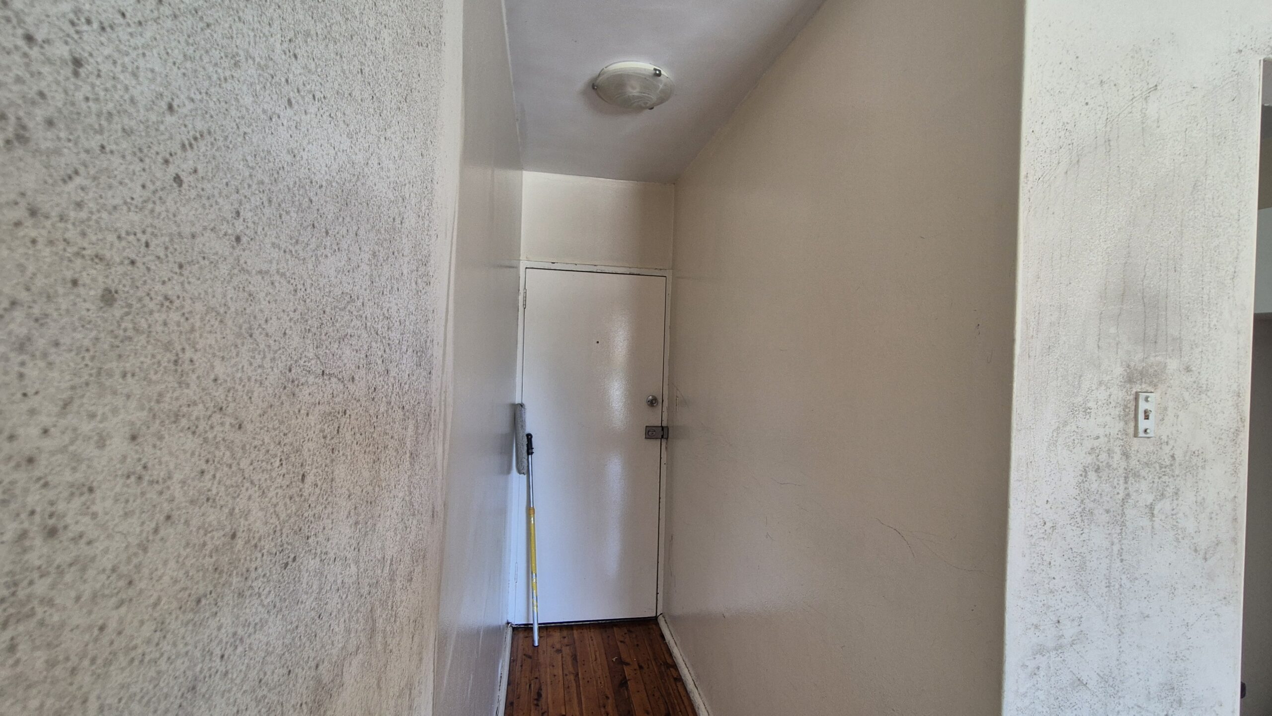 Mould Removal